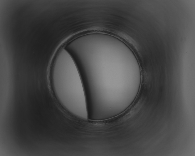 X0000100951029200806241118