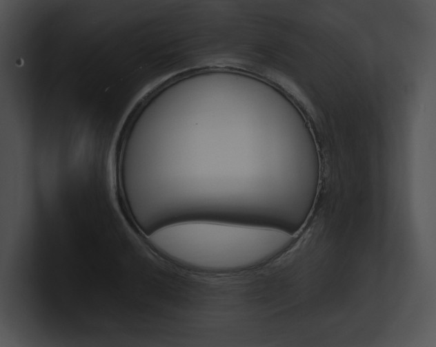 X0000100951032200806241118