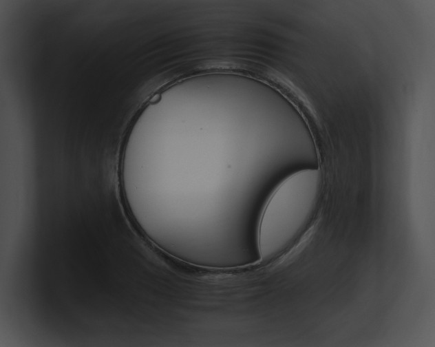 X0000100951033200806241118
