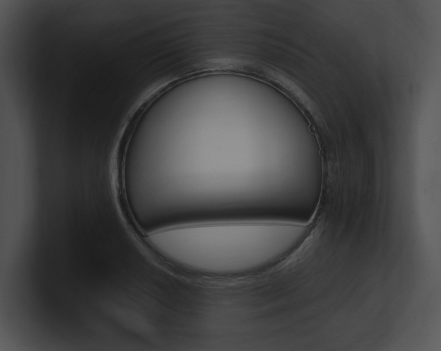 X0000100951034200806241118