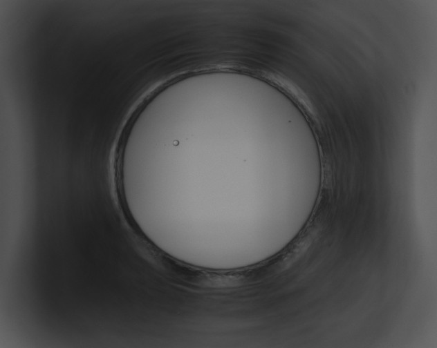 X0000100951039200806241118