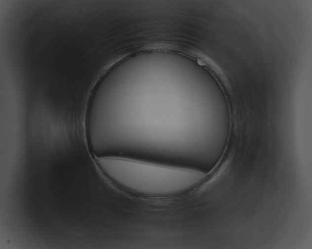 X0000100951041200806241118