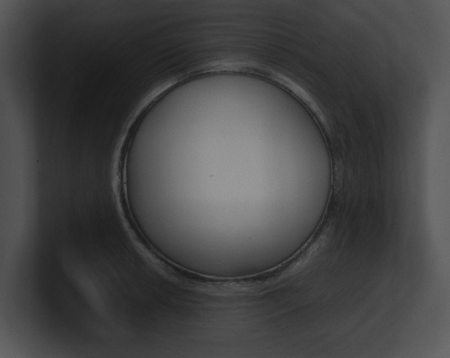 X0000100951042200806241118