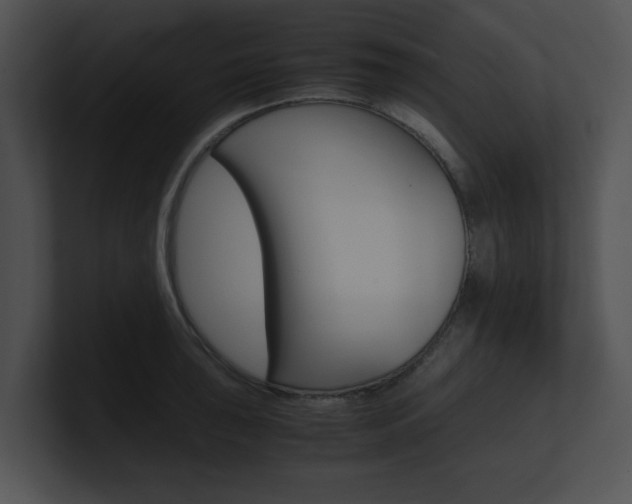 X0000100951043200806241119