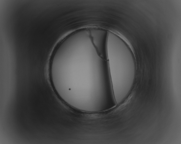 X0000100951045200806241119