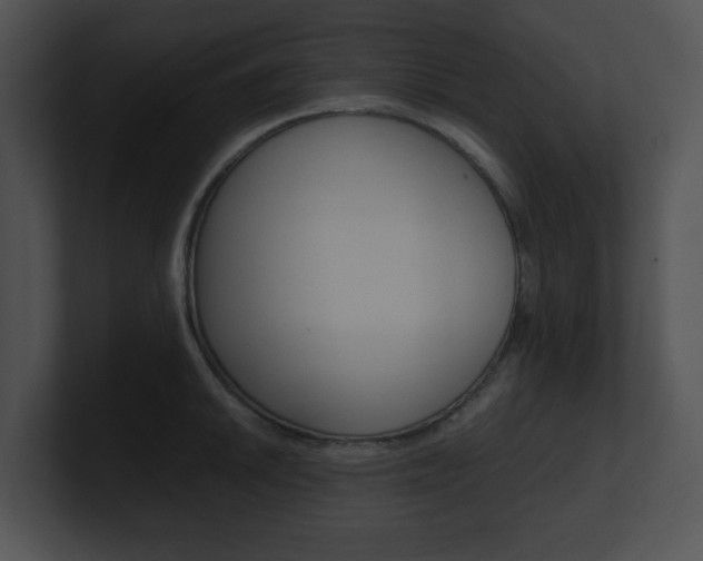 X0000100951046200806241119
