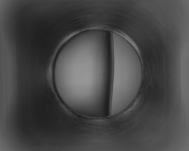X0000100951053200806241119