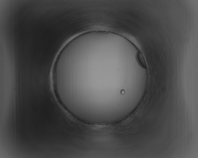 X0000100951056200806241119