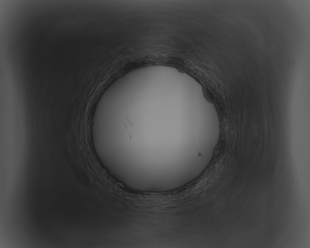 X0000100951057200806241118