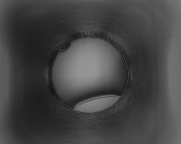 X0000100951060200806241118