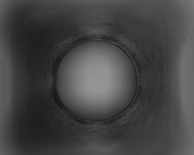X0000100951061200806241118