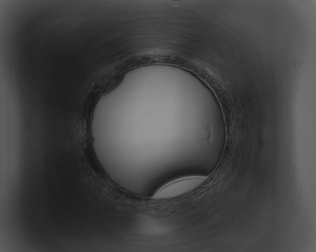 X0000100951062200806241118