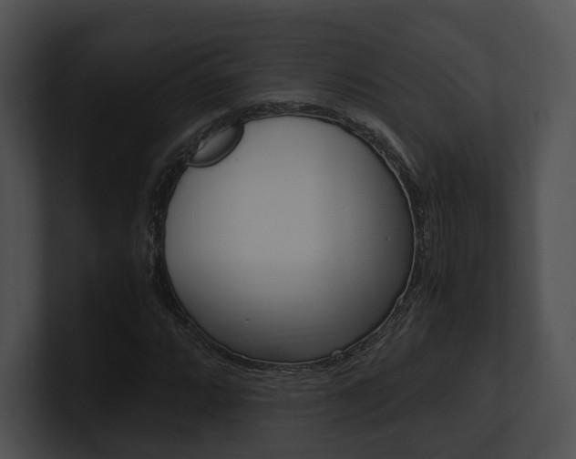 X0000100951064200806241118