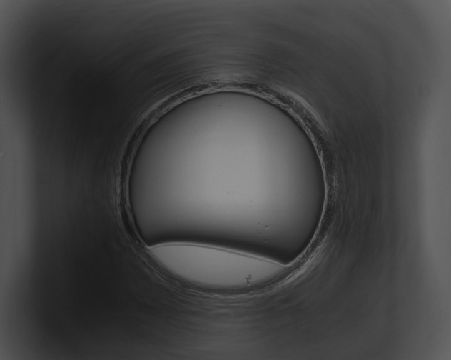 X0000100951065200806241118