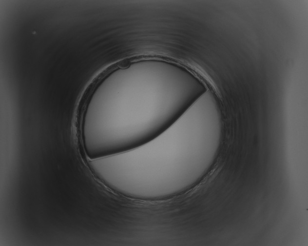 X0000100951068200806241118