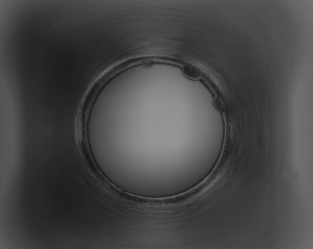 X0000100951069200806241118
