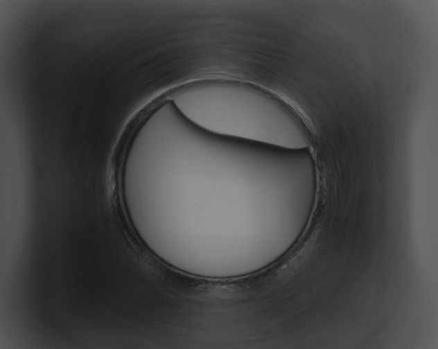 X0000100951070200806241118