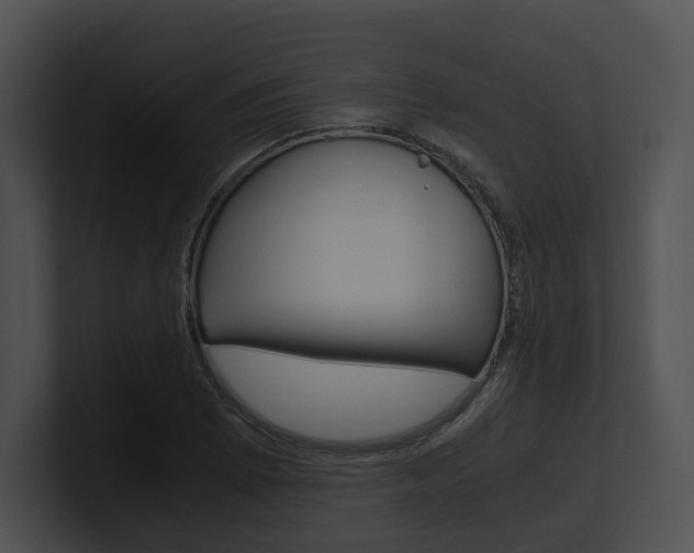 X0000100951073200806241118