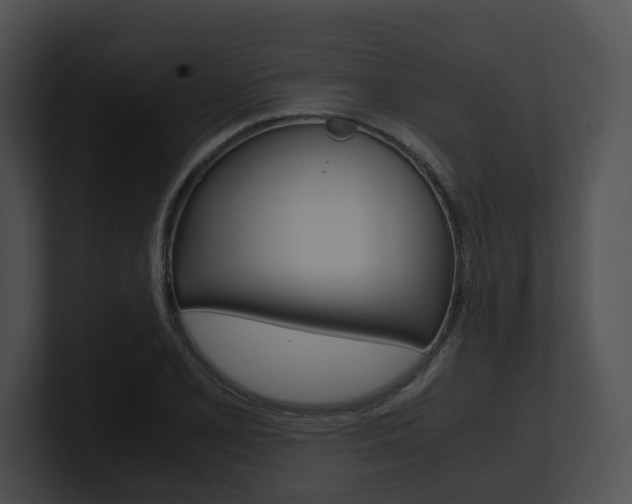 X0000100951077200806241118