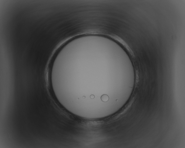 X0000100951078200806241118