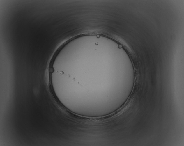 X0000100951079200806241118