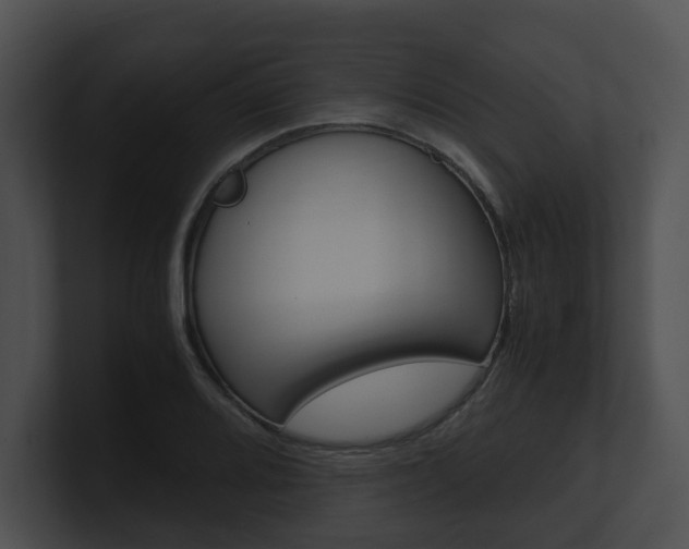 X0000100951080200806241118