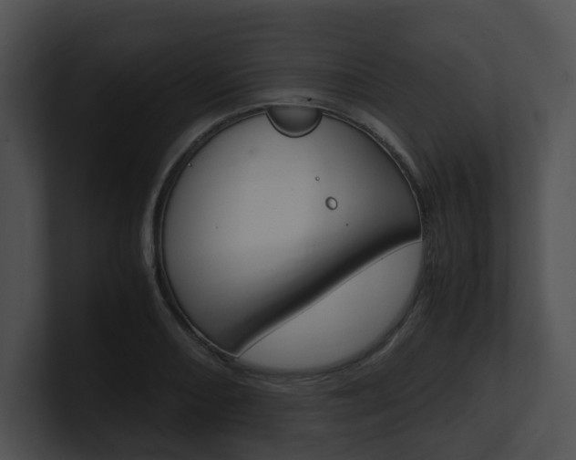 X0000100951082200806241118