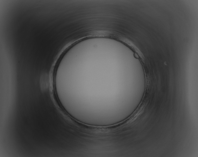 X0000100951083200806241118