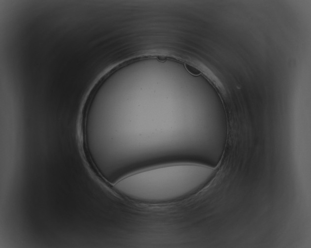 X0000100951084200806241118