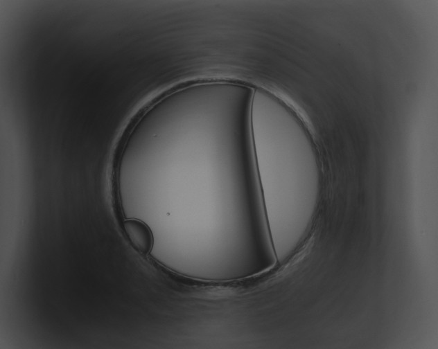 X0000100951085200806241118