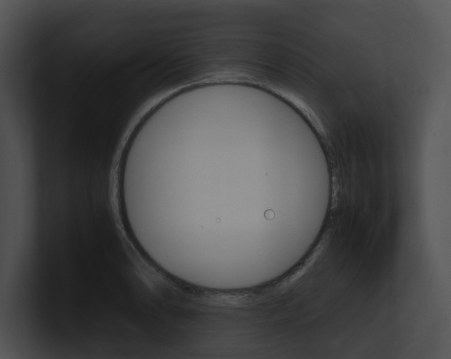 X0000100951086200806241118