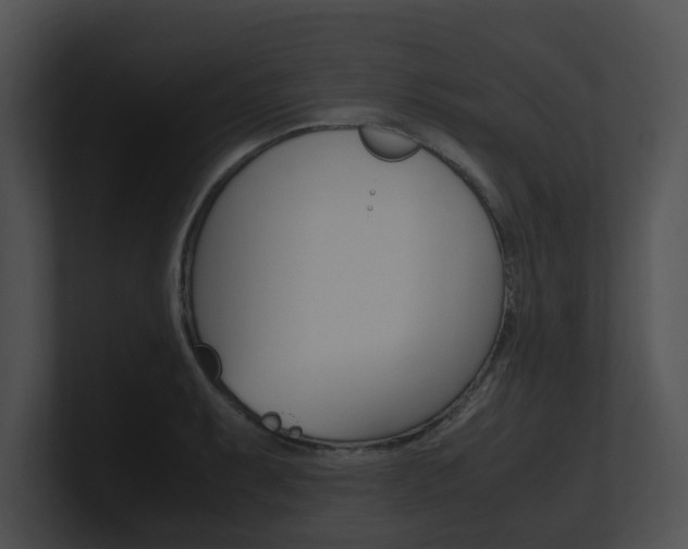 X0000100951087200806241118