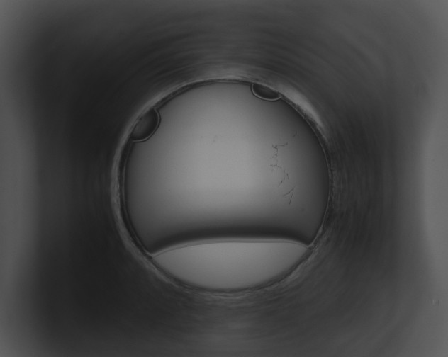 X0000100951088200806241118