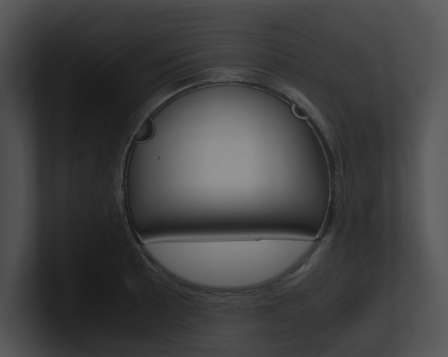 X0000100951089200806241118