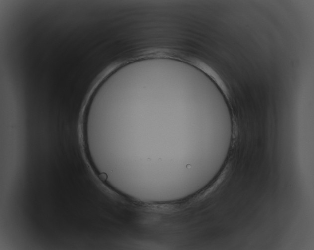 X0000100951090200806241118