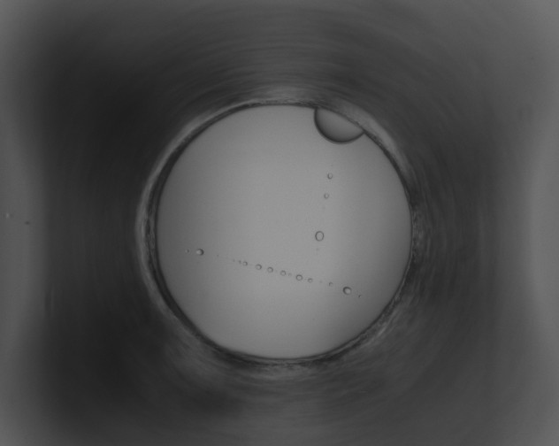 X0000100951091200806241118