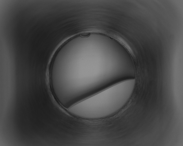X0000100951092200806241118