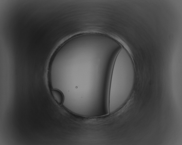X0000100951093200806241118