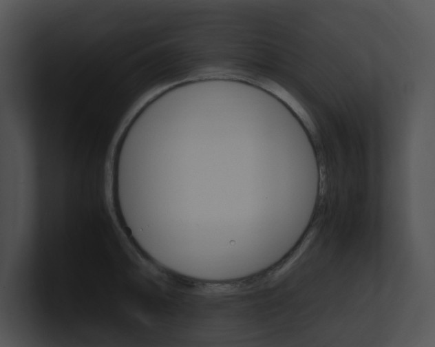 X0000100951094200806241118