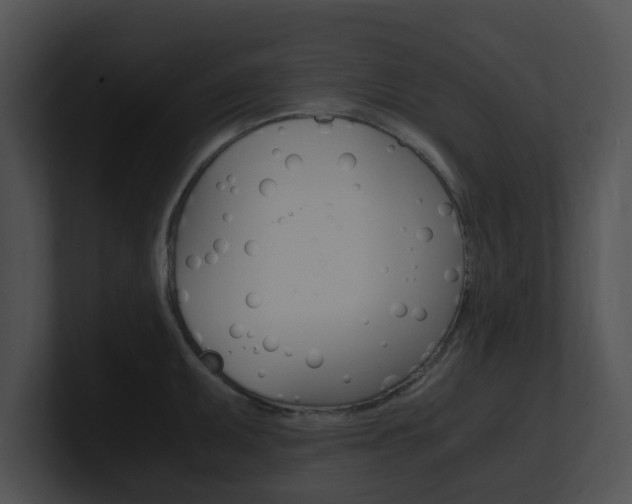 X0000100951095200806241118