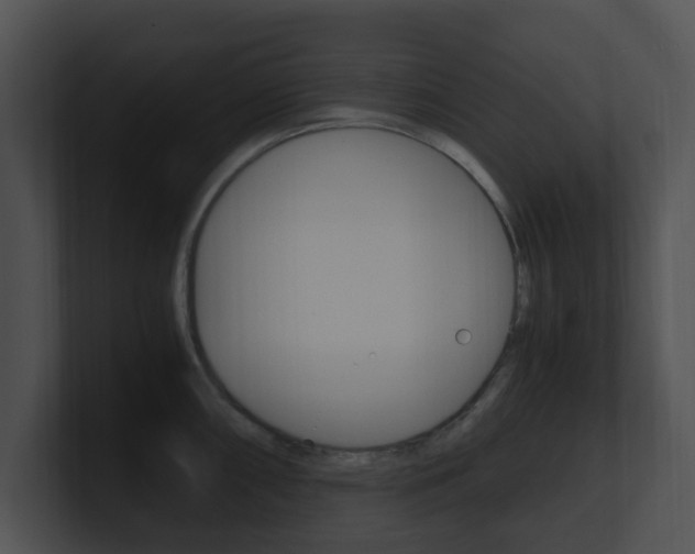 X0000100951098200806241117