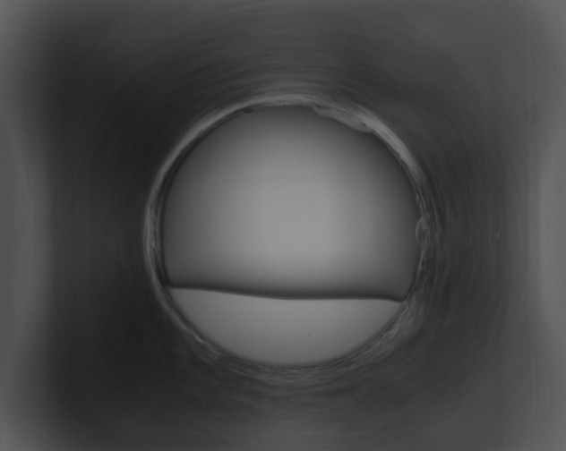 X0000100951101200806241117