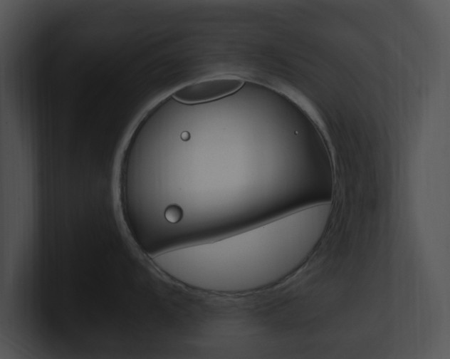X0000100951104200806241117