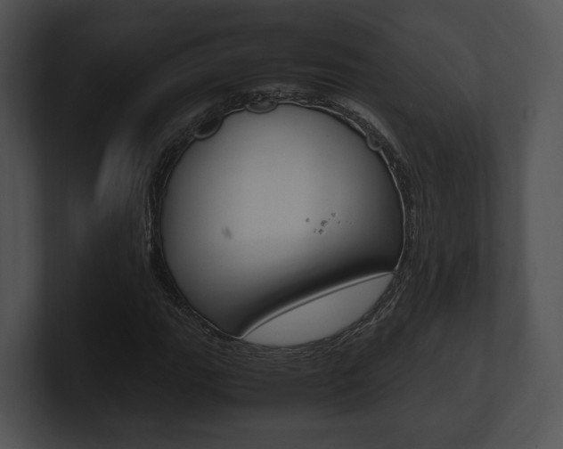 X0000100951111200806241117