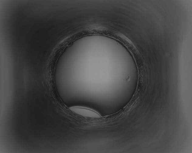 X0000100951112200806241117