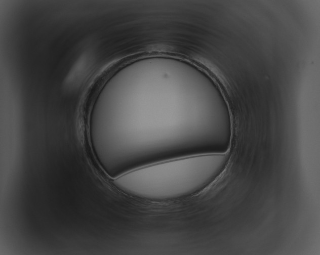 X0000100951115200806241117