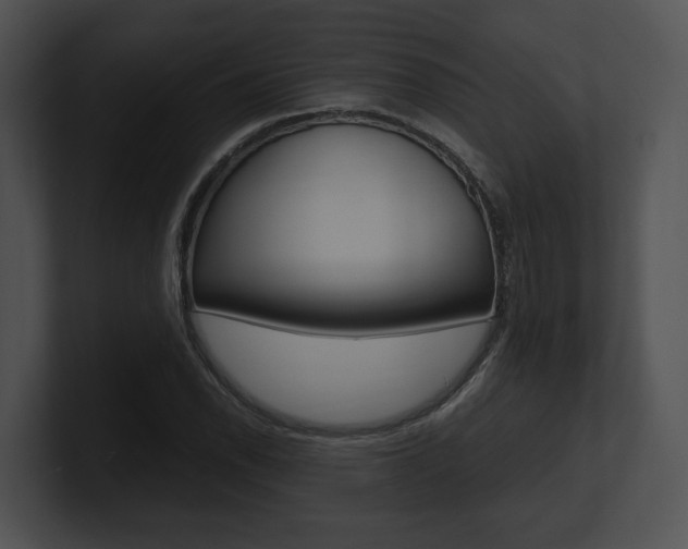 X0000100951118200806241117