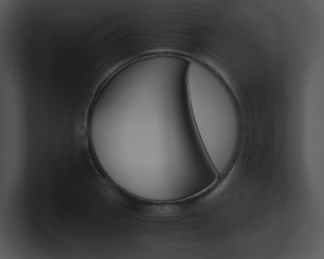 X0000100951129200806241117