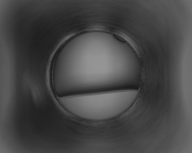 X0000100951139200806241117