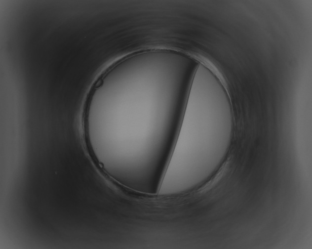 X0000100951141200806241117